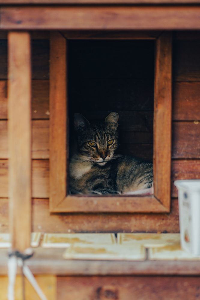 Photograph by Алексей Сафонов