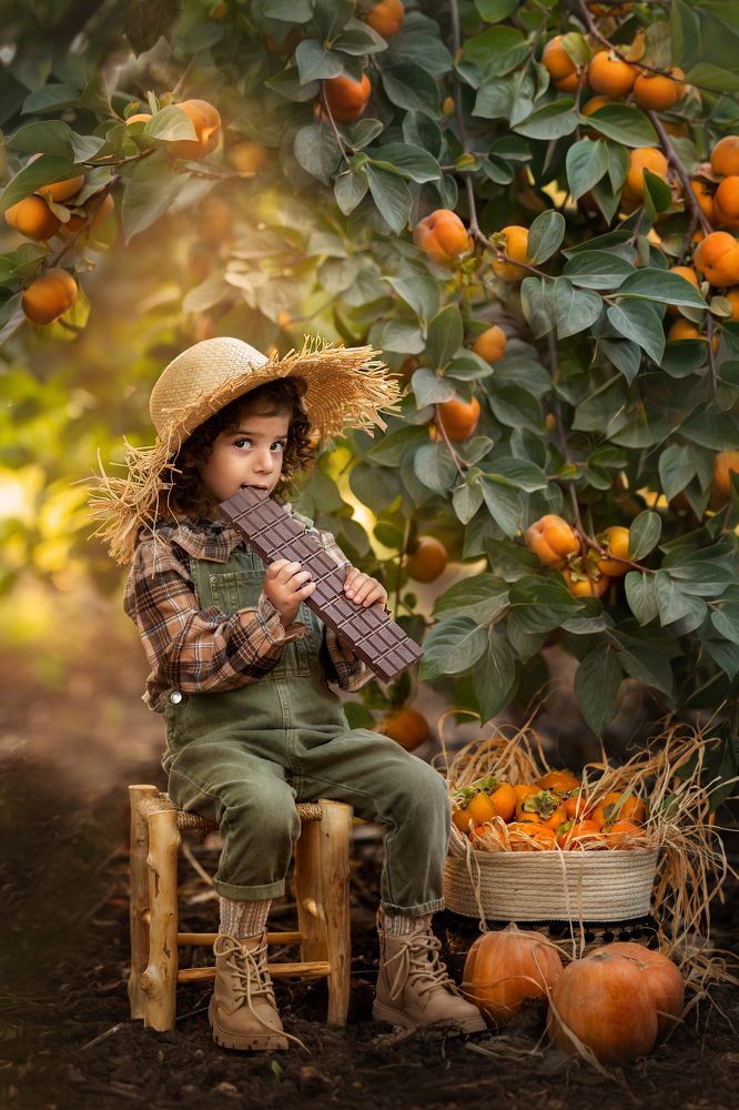 Photograph by Hamutal Avioz