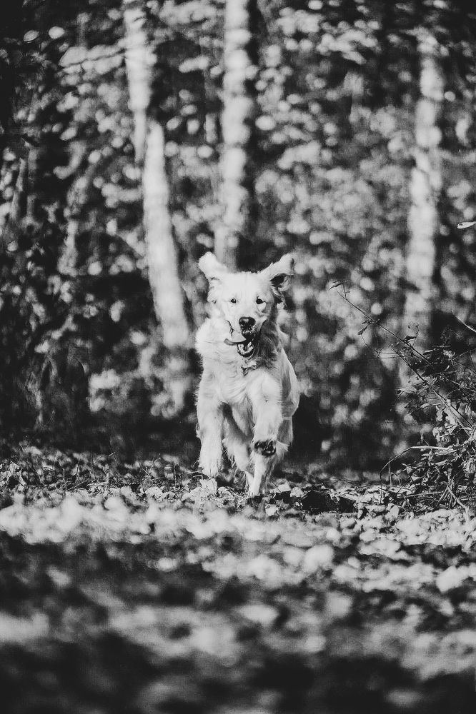 Photograph by Богдан Тарасов