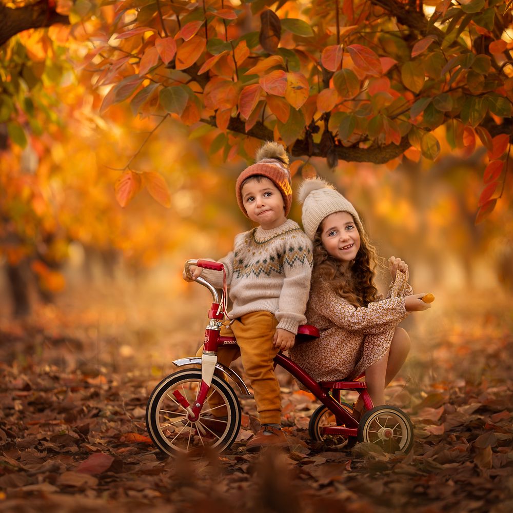 Photograph by Hamutal Avioz