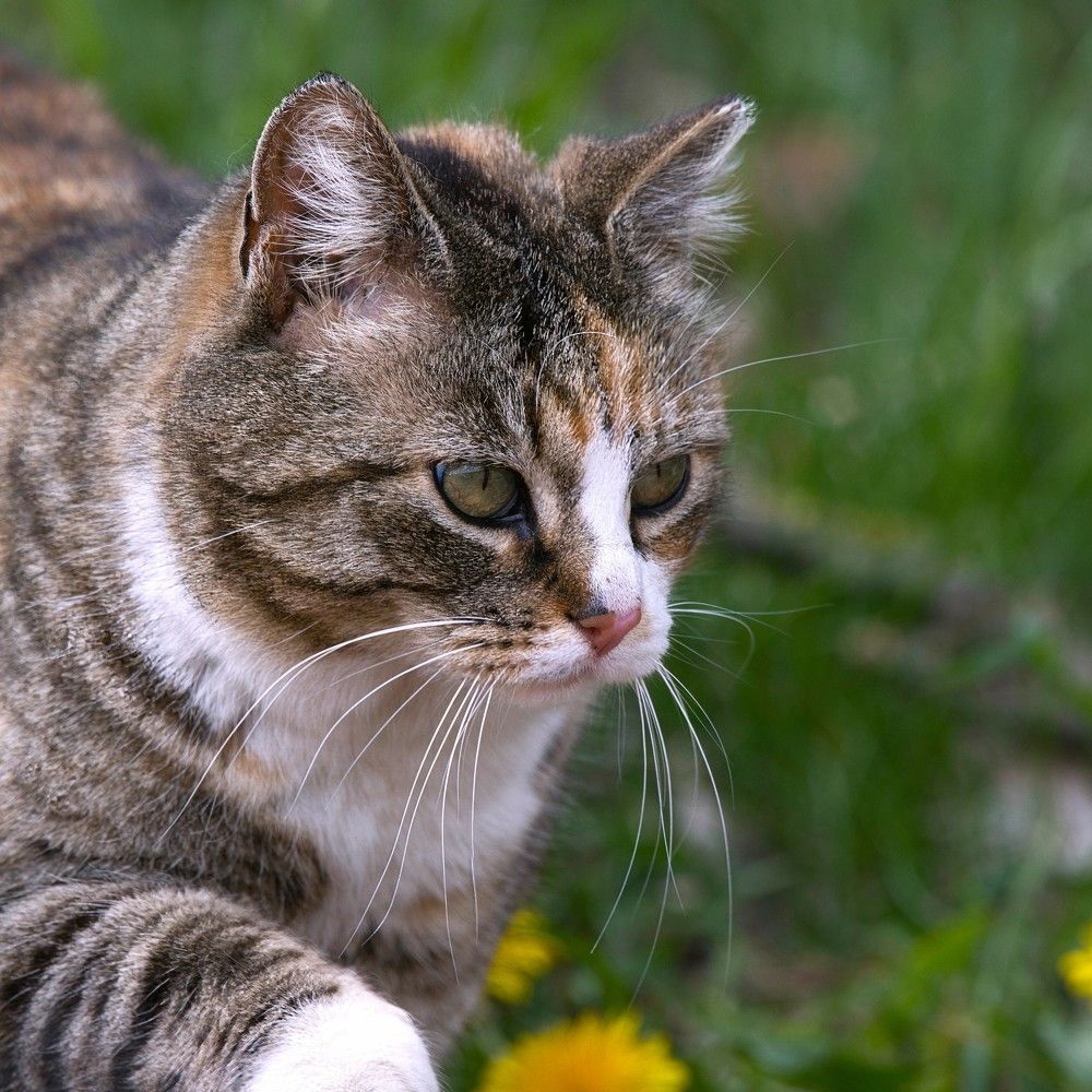 Photograph by Janis Serdienis