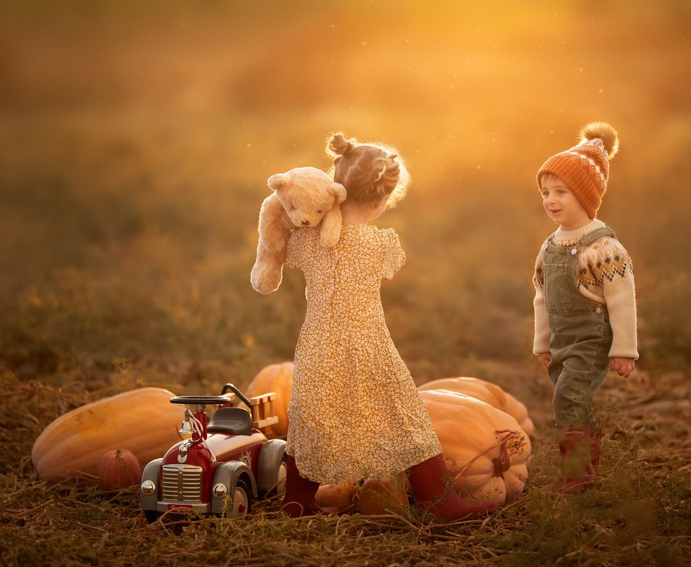 in the pumpkin field
