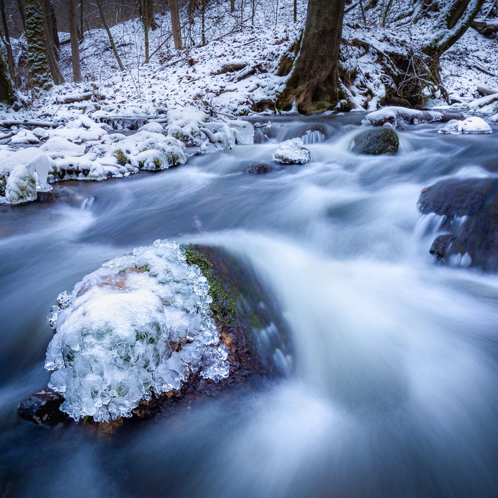 Photograph by Andrei Iliushenko
