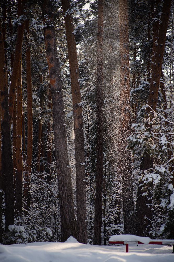 Photograph by Богдан Тарасов