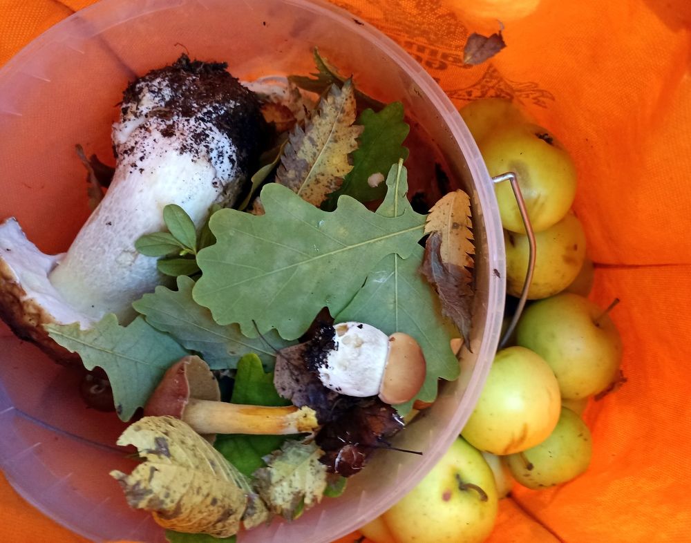 Photograph by Татьяна Смирнова