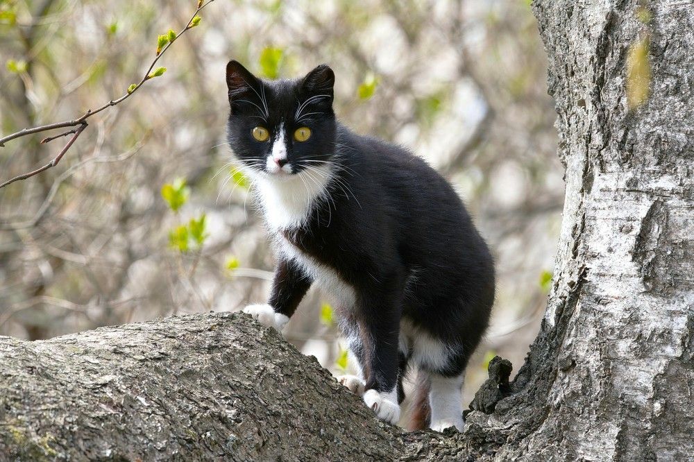 Photograph by Janis Serdienis