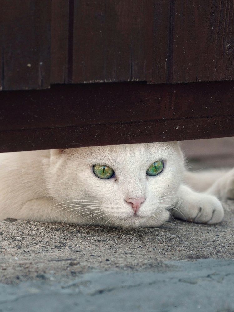 Photograph by Юлия Марфонова