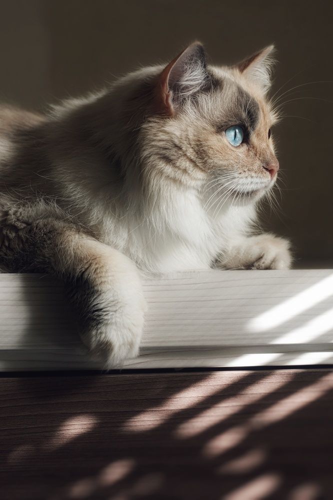 Photograph by Юлия Марфонова