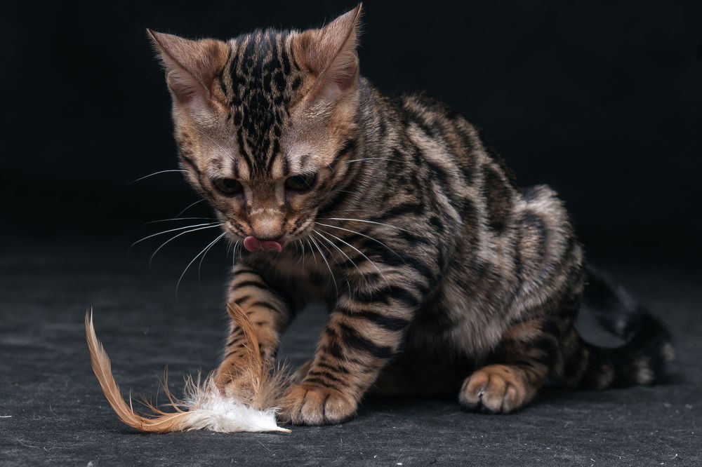 Photograph by Анастасия Щербакова