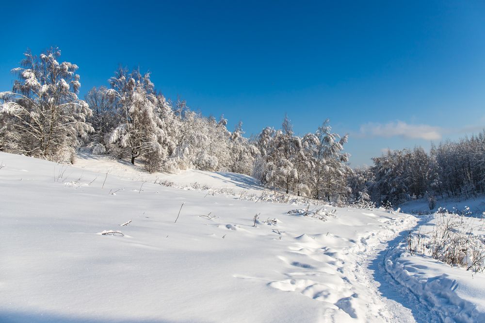 Photograph by Татьяна Гладкова