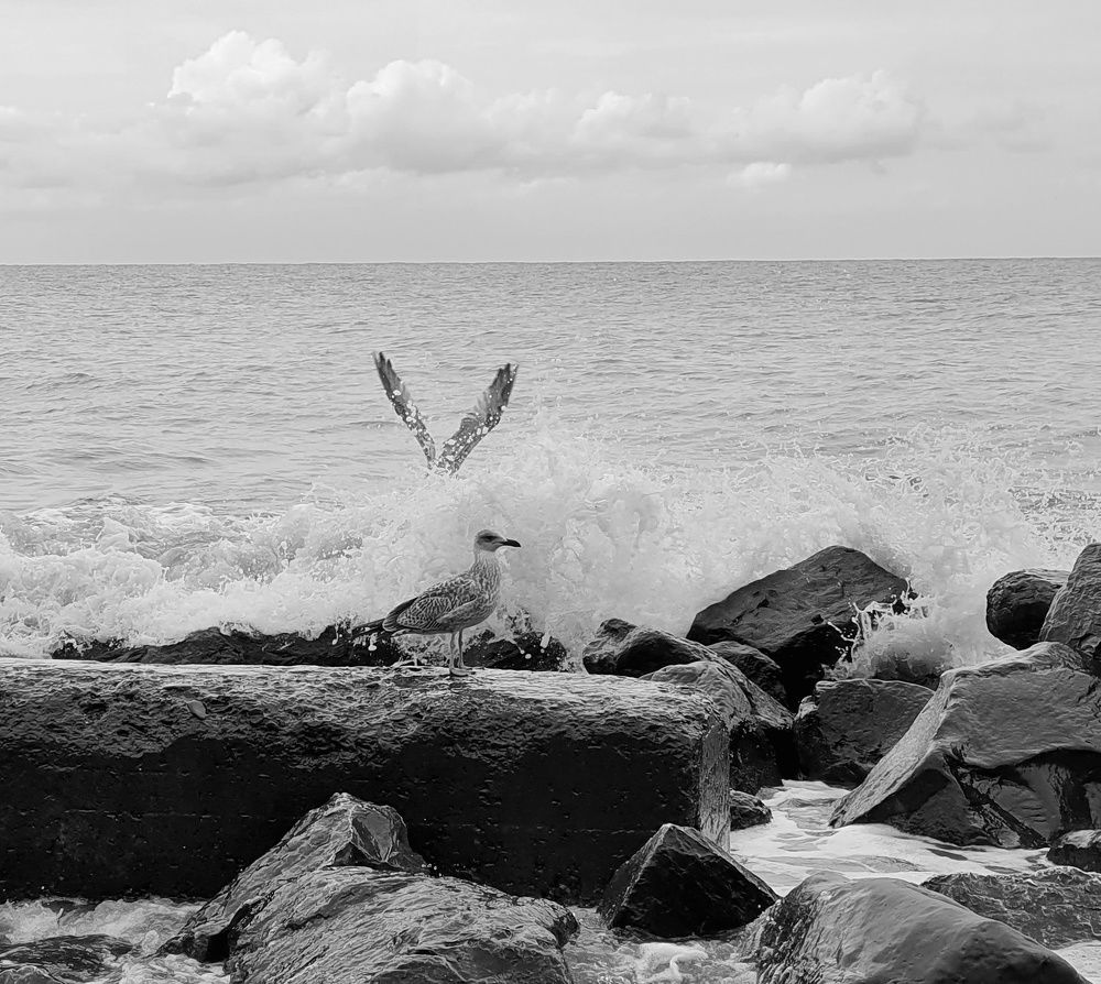 Photograph by Татьяна Мельникова