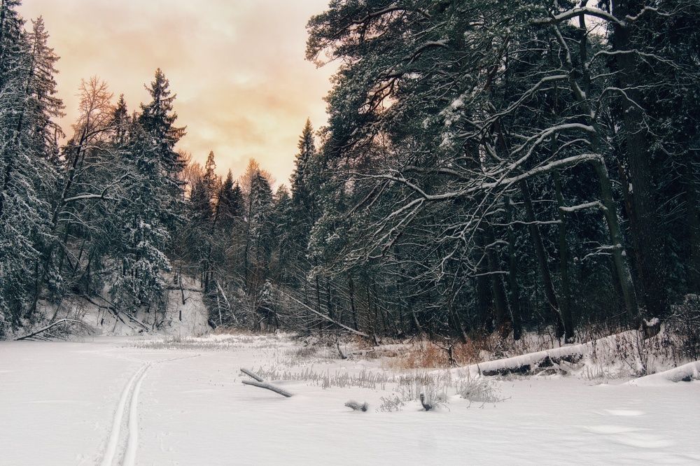 Photograph by Юлия Марфонова