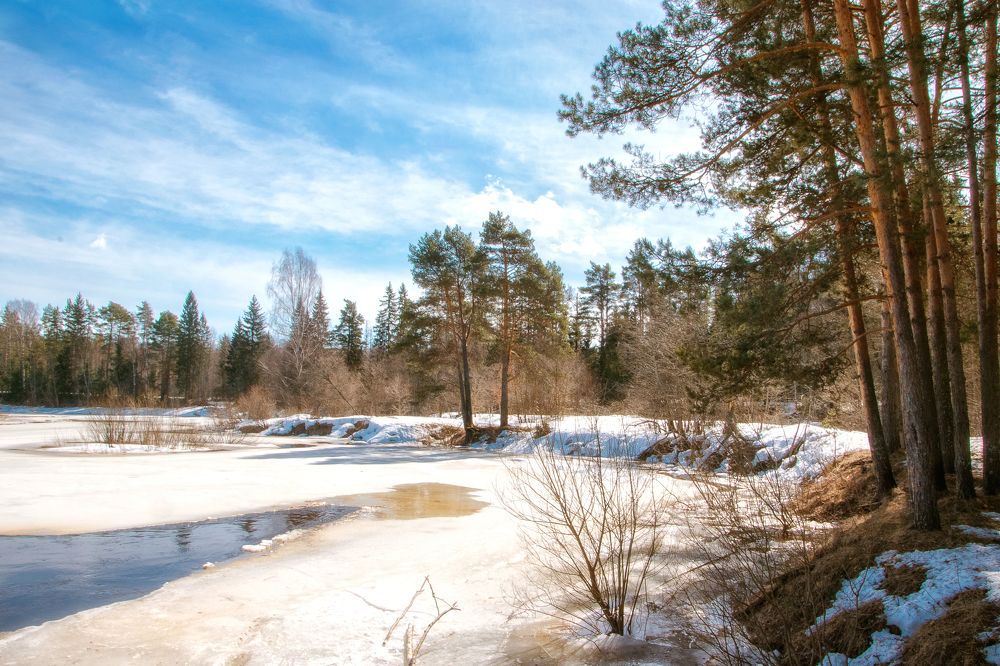 Ожидание весны