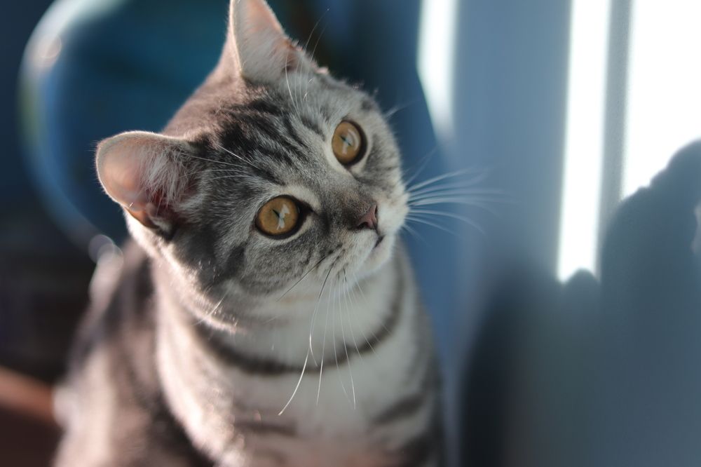 Photograph by Анна