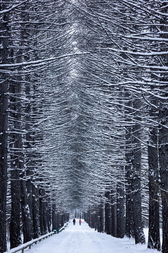 Photograph by Татьяна Грищук