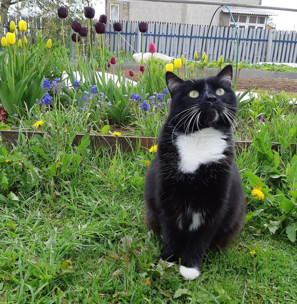 Фотография автора Ирина Лукьянчик