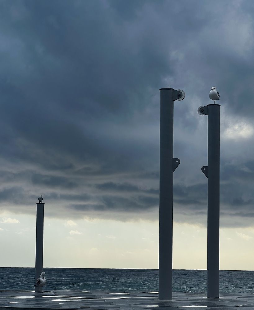 Photograph by Ольга Петухова