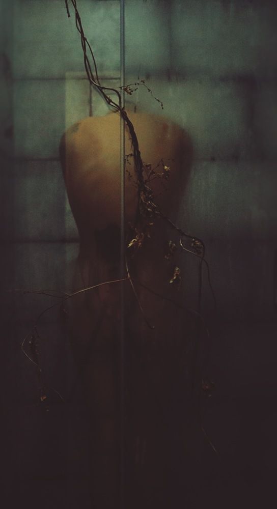 Photograph by Ольга Петухова