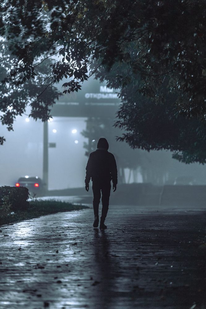 Идущий к мечте