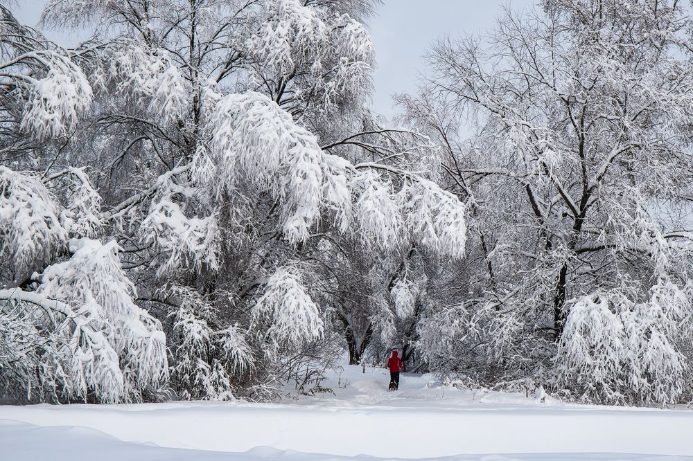 Зимняя сказка