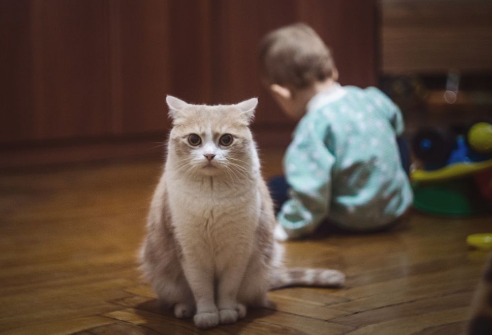 Photograph by Tateshi