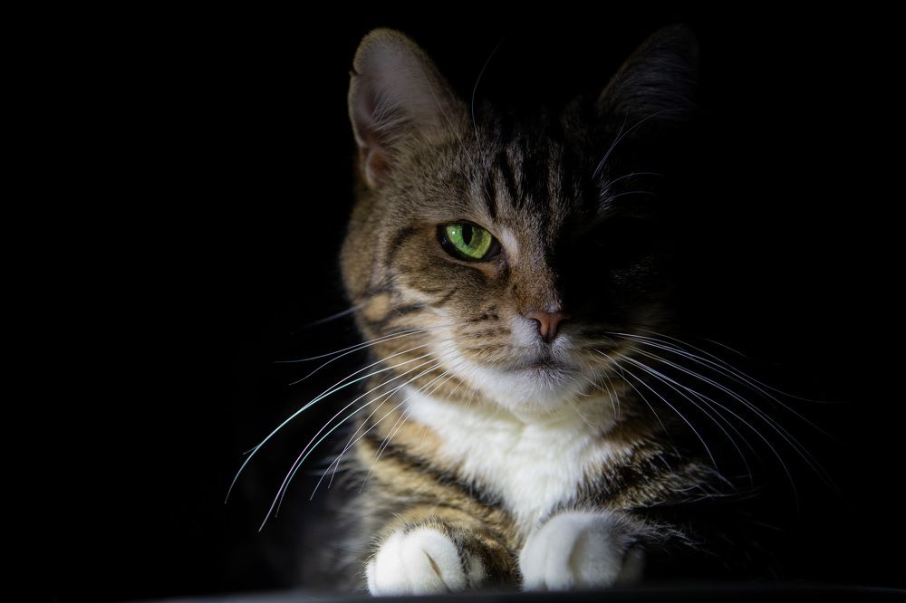 Photograph by Светлана Лебедева