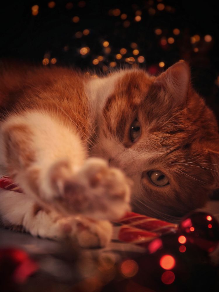 Photograph by Никита Брутман Broutman