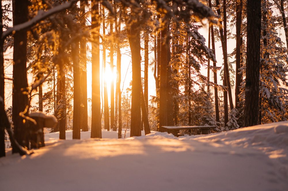 Photograph by Лариса Метелева