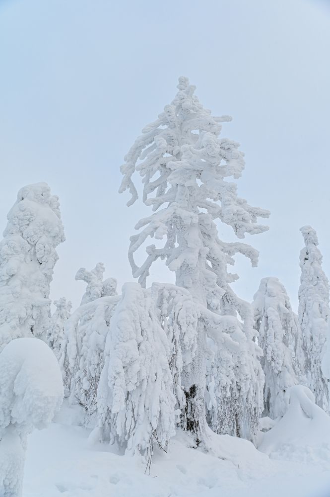 Photograph by Лариса Метелева