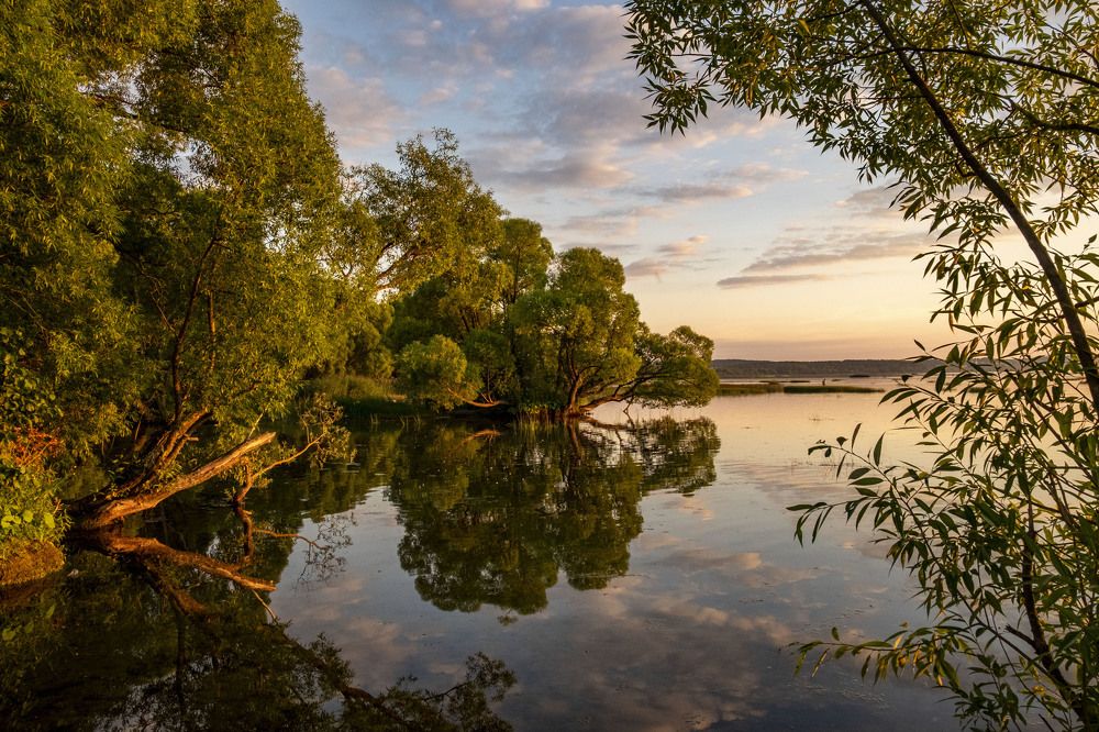 Photograph by Елена Маракулина