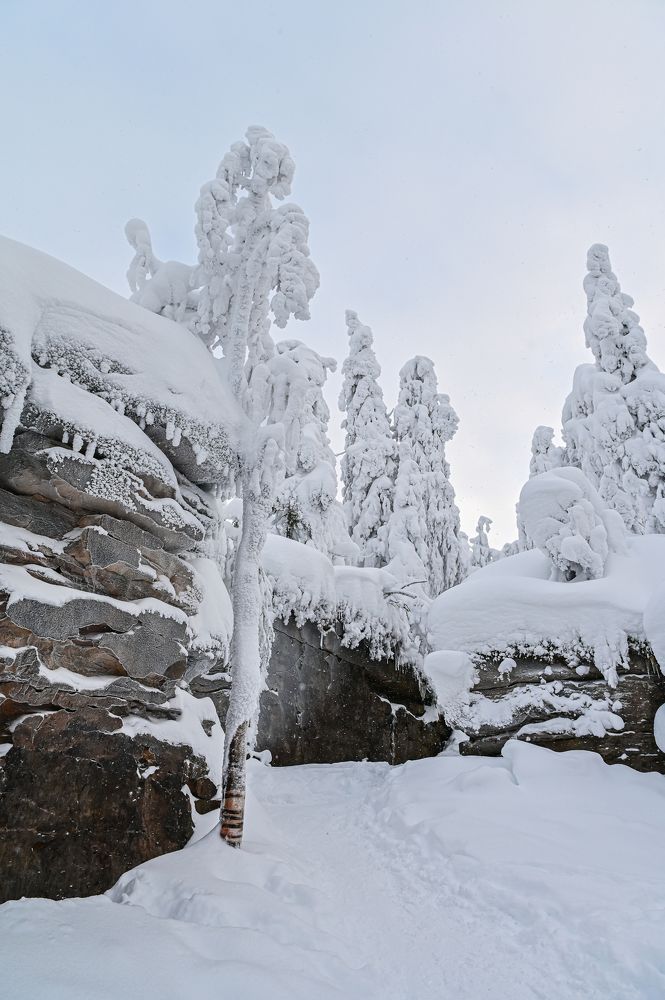 Photograph by Лариса Метелева