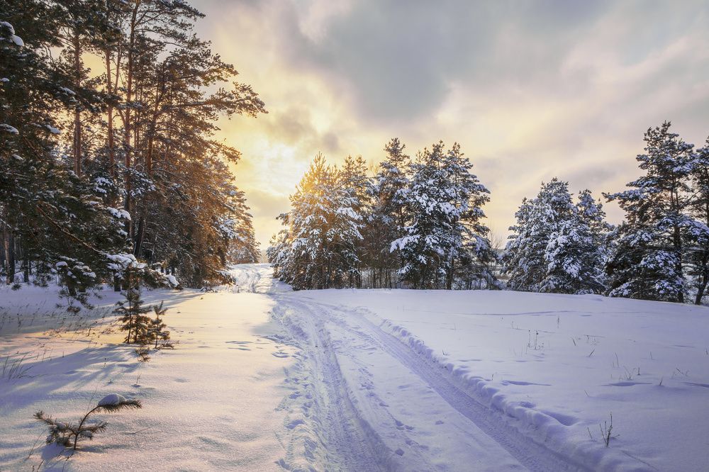 Фотография автора Валерий Лушин
