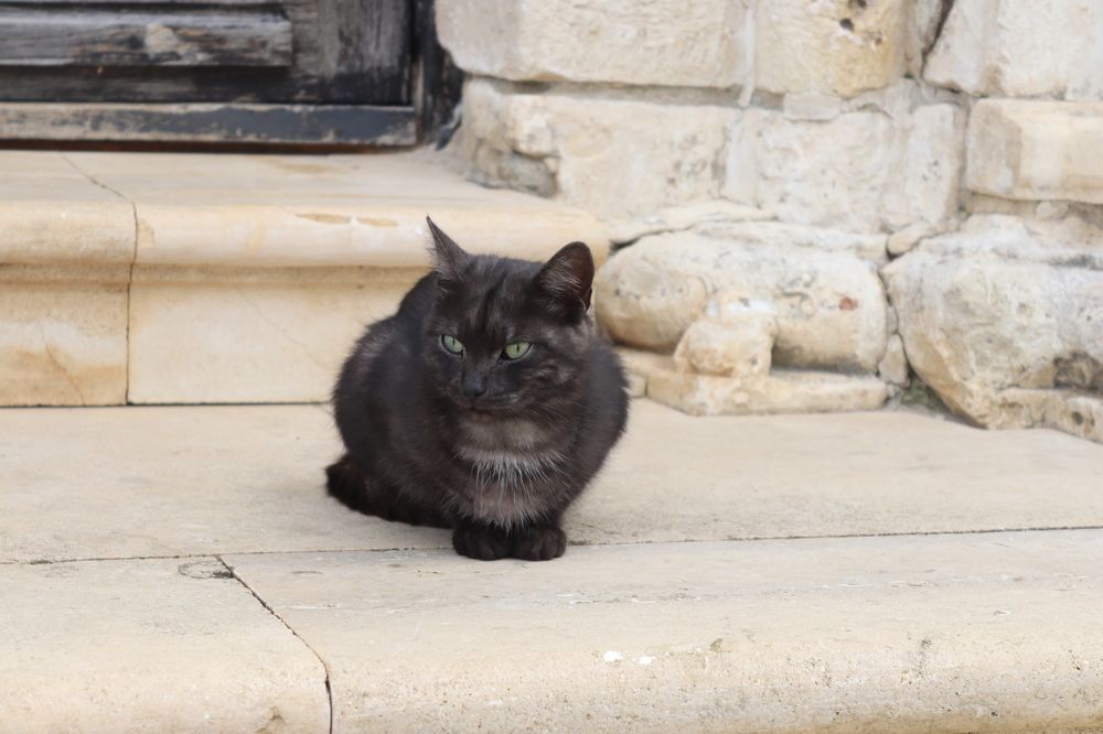 Photograph by Milena Paile