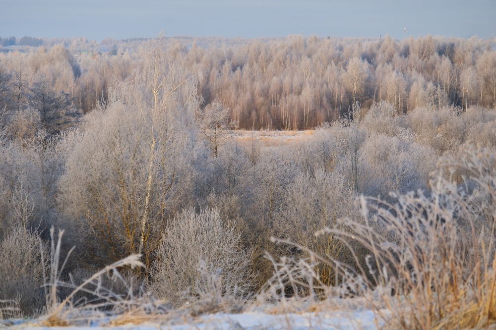 В серебре