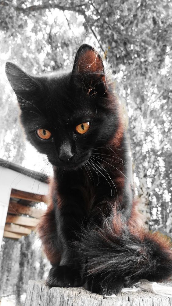 Photograph by Ирина Алпацкая