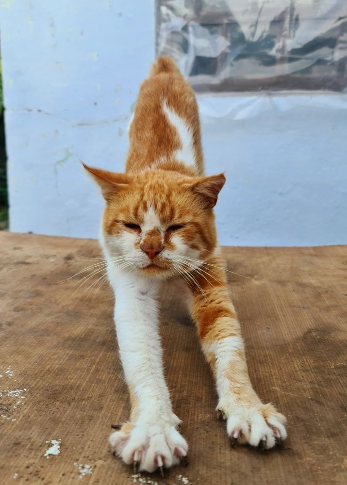 Photograph by Сергей Мамалюк