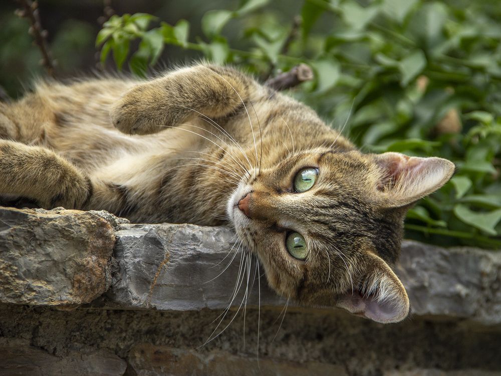 Photograph by Максим Тельманов