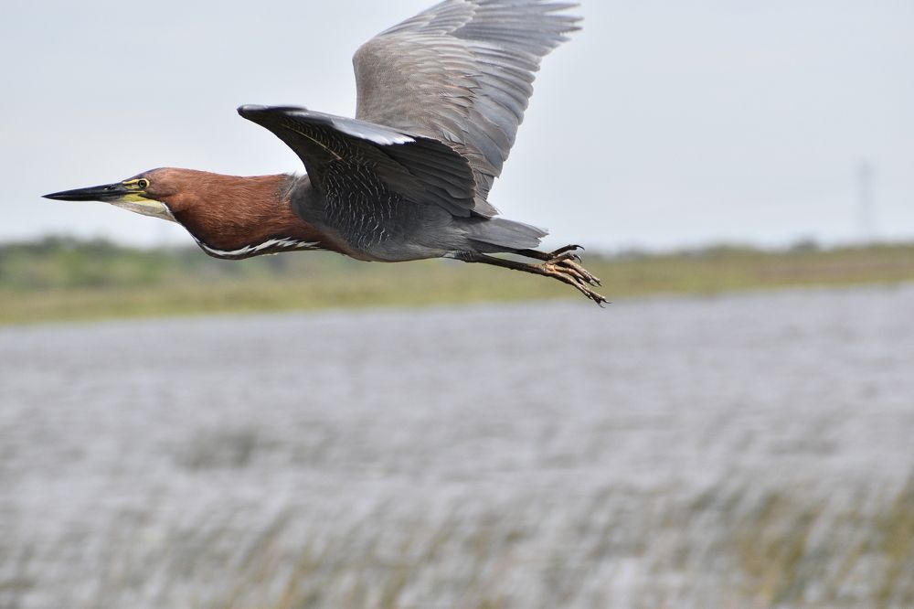 Photograph by Rosana