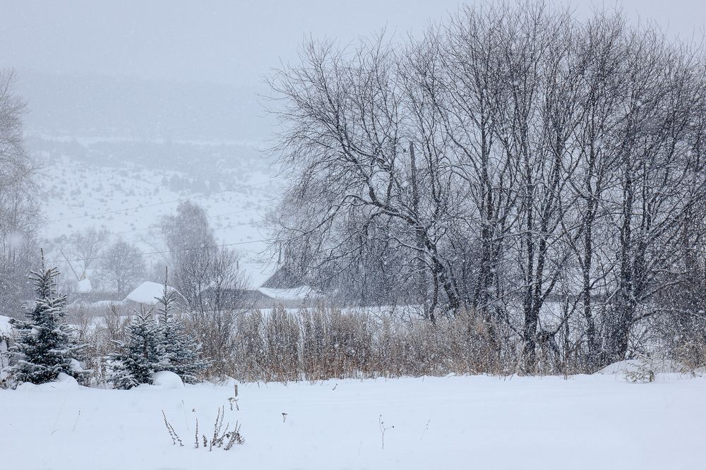 Photograph by Татьяна Грищук