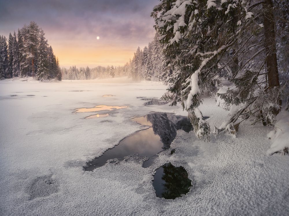 Photograph by Dmitry Medyancev