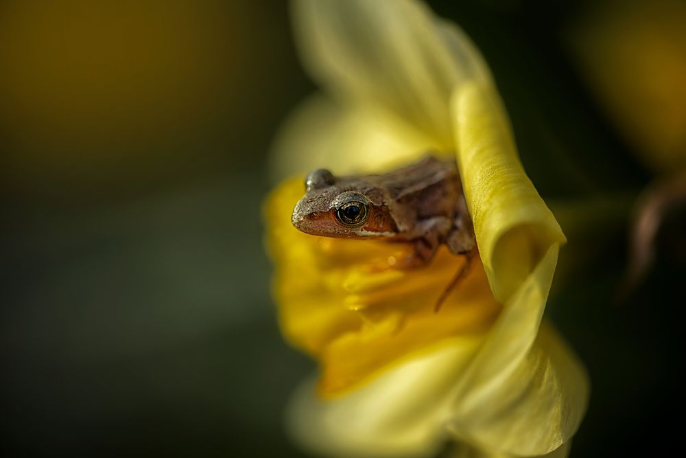 Photograph by Анастасия Думинская