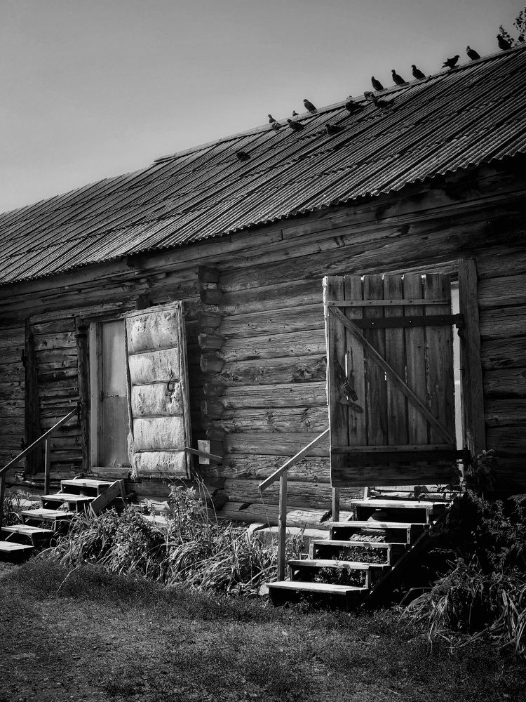 Photograph by Наталья Перерва