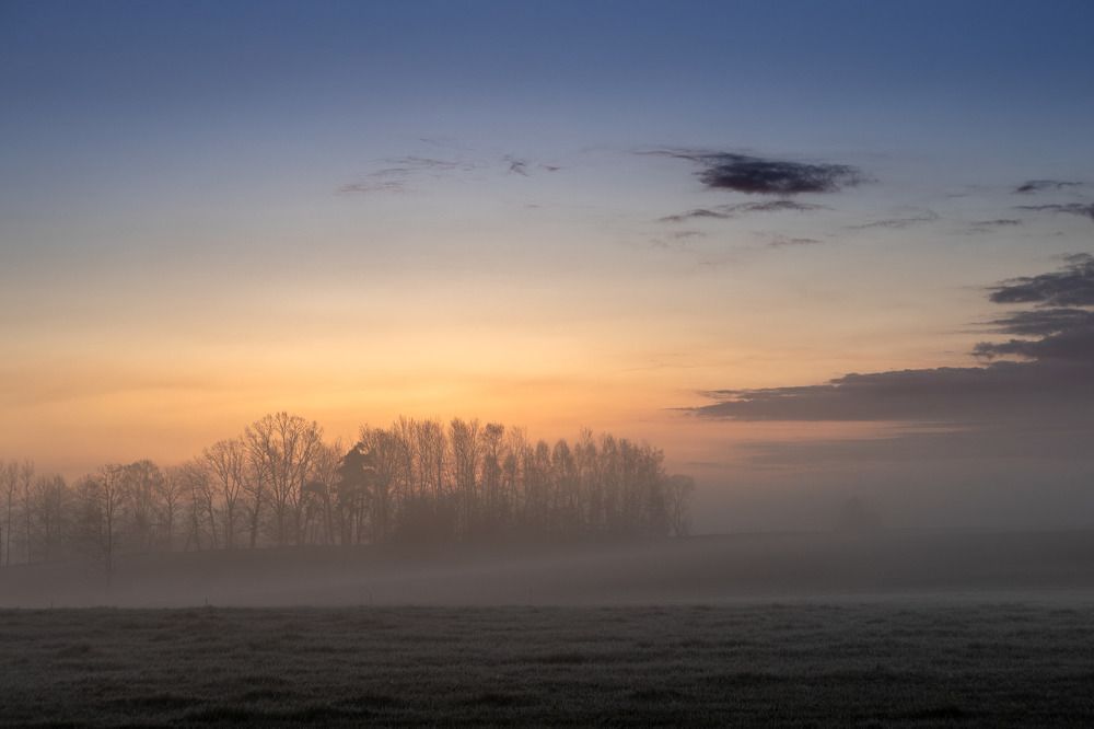 Photograph by Wiktor Kulesa