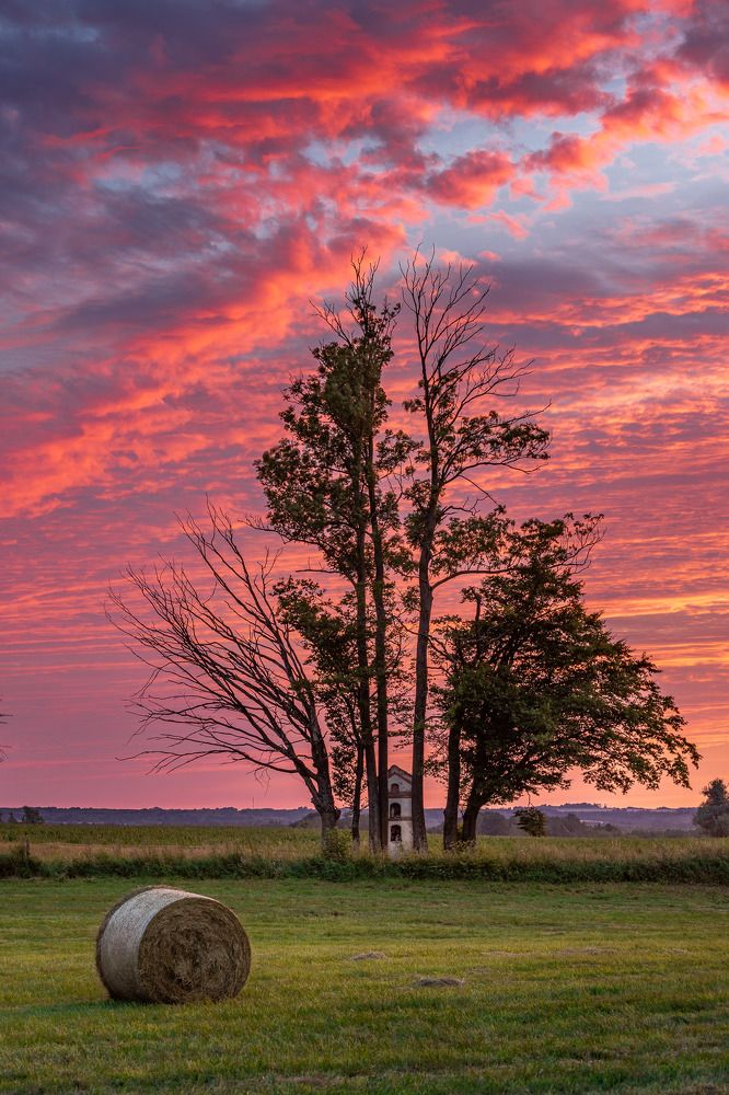 Photograph by Wiktor Kulesa