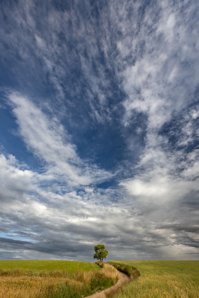 Photograph by Wiktor Kulesa