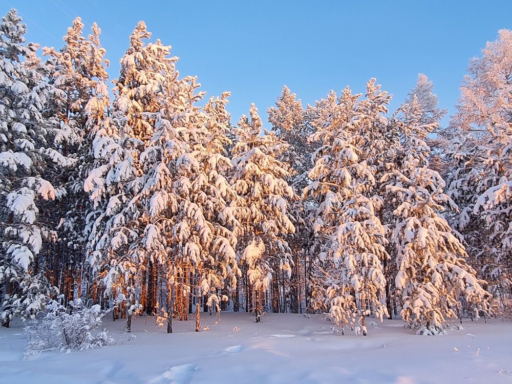 Photograph by Надежда Варфоломеева