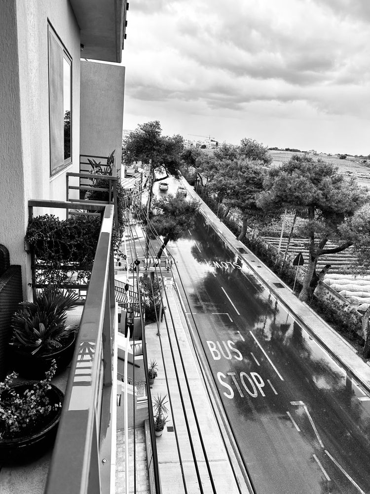 Photograph by Ernest Spiteri Gonzi