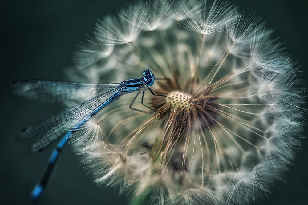 Photograph by Анастасия Думинская