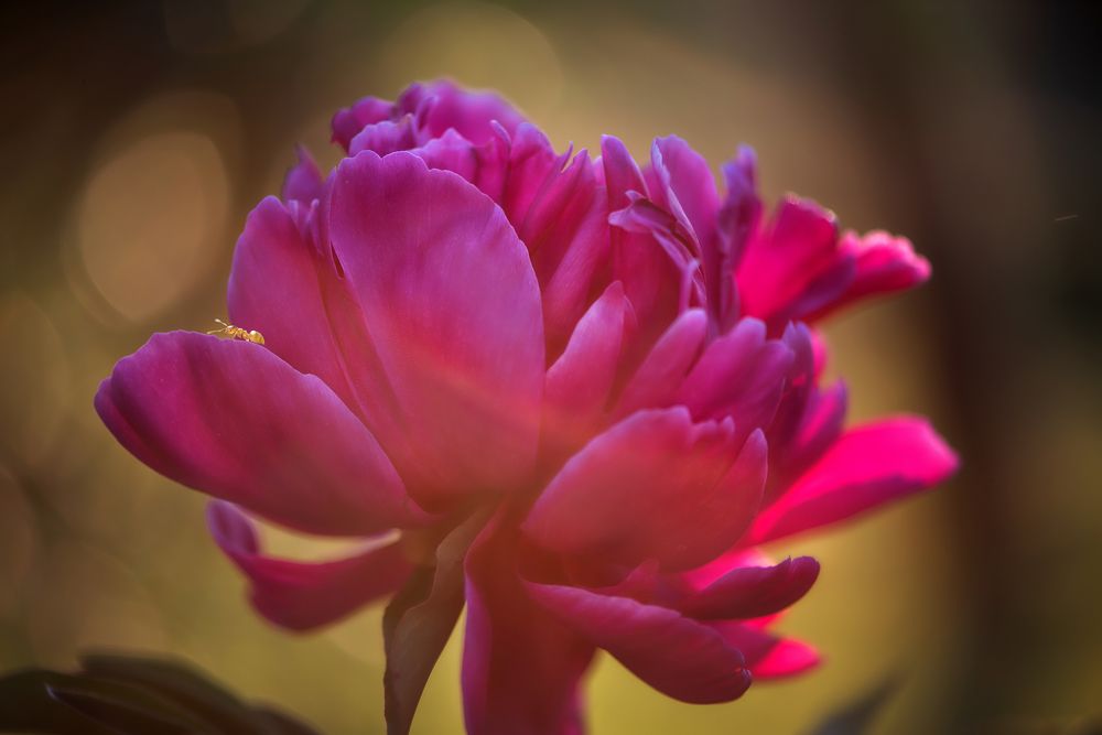 Photograph by Анастасия Думинская