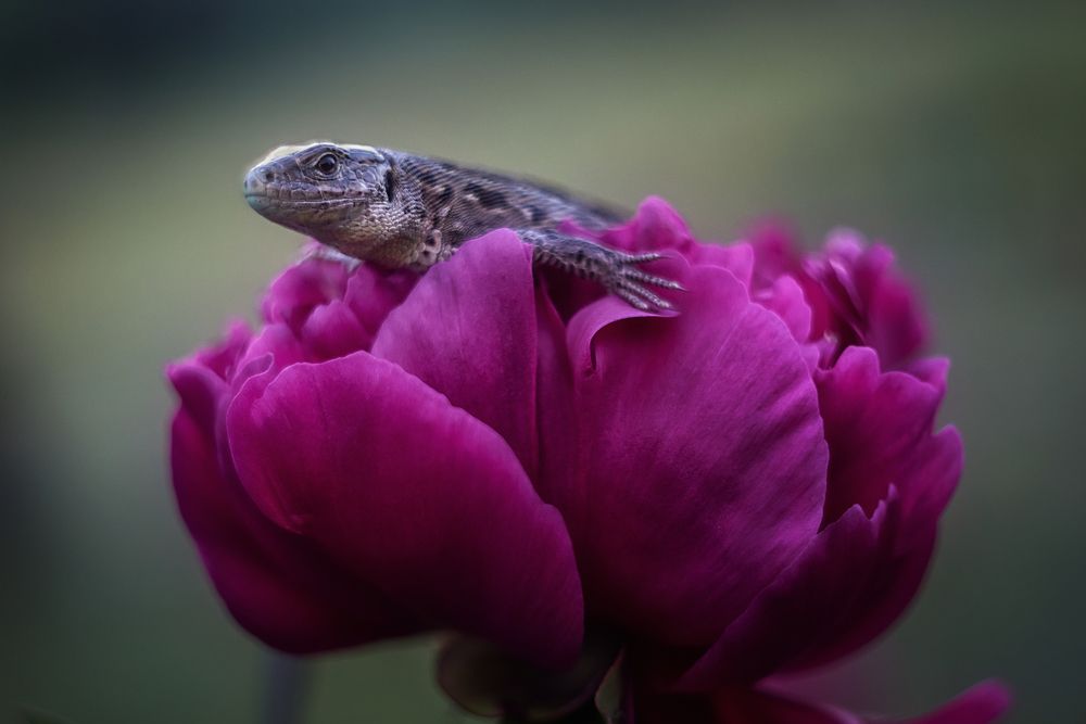 Photograph by Анастасия Думинская